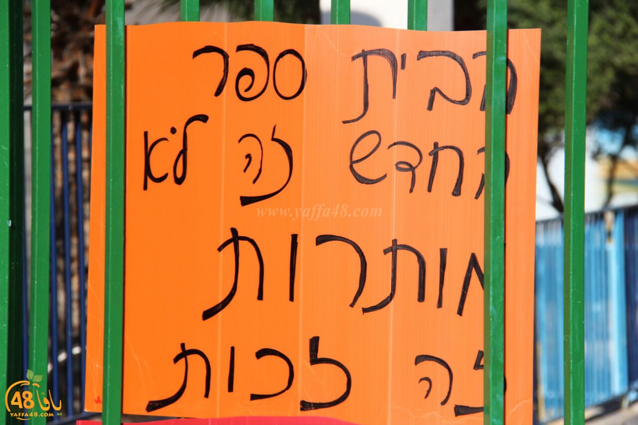 idrab shamela (13).jpg